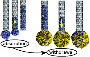 Graphical abstract: Uptake and withdrawal of droplets from carbon nanotubes