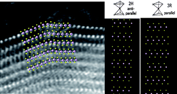 Graphical abstract: Insights into the capping and structure of MoS2 nanotubes as revealed by aberration-corrected STEM