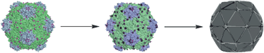 Graphical abstract: Virus templated metallic nanoparticles