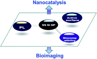 Graphical abstract: Small-sized silicon nanoparticles: new nanolights and nanocatalysts