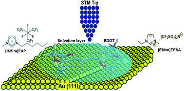 Graphical abstract: Surface polymerization of (3,4-ethylenedioxythiophene) probed by in situ scanning tunneling microscopy on Au(111) in ionic liquids