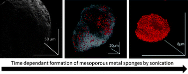 Graphical abstract: Sonochemical formation of metal sponges
