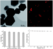 Graphical abstract: Photoluminescence, cytotoxicity and in vitro imaging of hexagonal terbium phosphate nanoparticles doped with europium