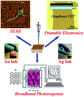 Graphical abstract: Alkylamine capped metal nanoparticle “inks” for printable SERS substrates, electronics and broadband photodetectors