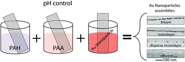 Graphical abstract: Structural control of gold nanoparticles self-assemblies by layer-by-layer process