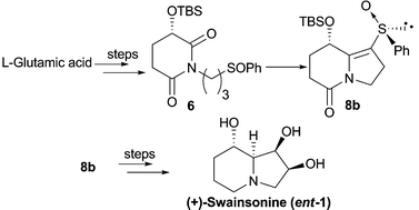 Graphical abstract: Asymmetric total synthesis of (+)-swainsonine