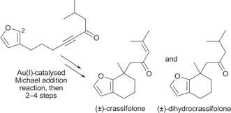 Graphical abstract: Total syntheses of the furanosesquiterpenes crassifolone and dihydrocrassifolone via an Au(i)-catalysed intramolecular Michael addition reaction