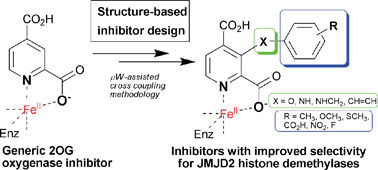 Graphical abstract: Inhibition of the histone demethylase JMJD2E by 3-substituted pyridine 2,4-dicarboxylates