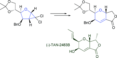 Graphical abstract: Synthesis of the (−)-TAN-2483B ring system via a d-mannose-derived cyclopropane