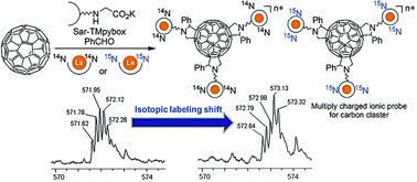 Graphical abstract: 15N-labeled ionic probe attachment mass spectrometry of carbon clusters
