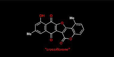 Graphical abstract: Synthesis of the reported structure of crassiflorone, a naturally occurring quinone isolated from the African ebony Diospyros crassiflora, and regioisomeric pentacyclic furocoumarin naphthoquinones
