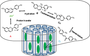 Graphical abstract: Supramolecular host–guest flavylium-loaded zeolite L hybrid materials: network of reactions of encapsulated 7,4′-dihydroxyflavylium