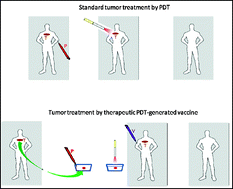 Graphical abstract: Cancer vaccines generated by photodynamic therapy