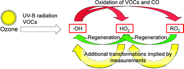 Graphical abstract: Changes in air quality and tropospheric composition due to depletion of stratospheric ozone and interactions with climate