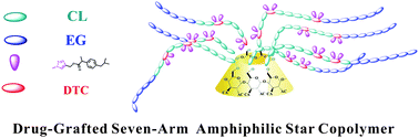 Graphical abstract: Drug-grafted seven-arm amphiphilic star poly(ε-caprolactone-co-carbonate)-b-poly(ethylene glycol)s based on a cyclodextrin core: synthesis and self-assembly behavior in water