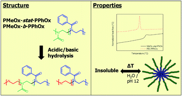 Graphical abstract: Selective partial hydrolysis of amphiphilic copoly(2-oxazoline)s as basis for temperature and pH responsive micelles