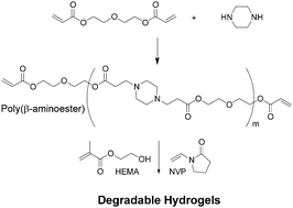 Graphical abstract: Swelling and degradation of hydrogels synthesized with degradable poly(β-amino ester) crosslinkers
