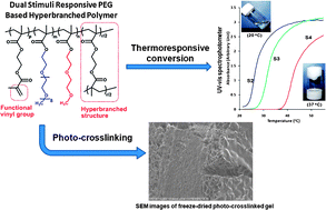 Graphical abstract: Dual stimuli responsive PEG based hyperbranched polymers