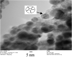 Graphical abstract: Oligoagarose-g-polycaprolactone loaded nanoparticles for drug delivery applications