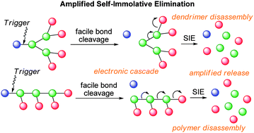 Graphical abstract: Self-immolative linkers in polymeric delivery systems