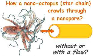 Graphical abstract: How does a star chain (nanooctopus) crawl through a nanopore?