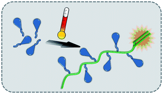 Graphical abstract: High temperature synthesis of vinyl terminated polymers based on dendronized acrylates: a detailed product analysis study