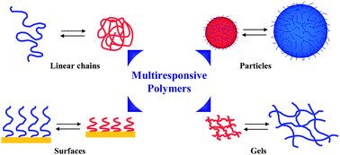 Graphical abstract: Multiresponsive polymers: nano-sized assemblies, stimuli-sensitive gels and smart surfaces