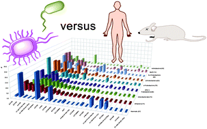 Graphical abstract: Comparative bioinformatics analysis of the mammalian and bacterial glycomes