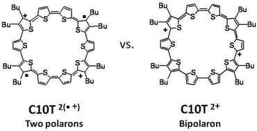 Graphical abstract: Molecular and electronic structure of cyclo[10]thiophene in various oxidation states: polaron pair vs. bipolaron
