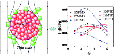 Graphical abstract: A simple model for the anomalous intrinsic viscosity of dendrimers