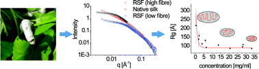 Graphical abstract: Small angle neutron scattering of native and reconstituted silk fibroin
