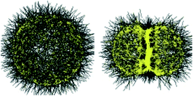 Graphical abstract: Myosin motor mediated contraction is enough to produce cytokinesis in the absence of polymerisation