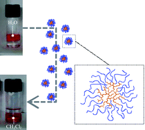 Graphical abstract: Reverse micelles from amphiphilic branched polymers