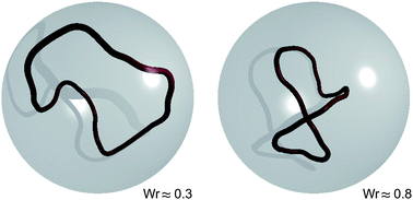 Graphical abstract: Confinement induces conformational transition of semiflexible polymer rings to figure eight form