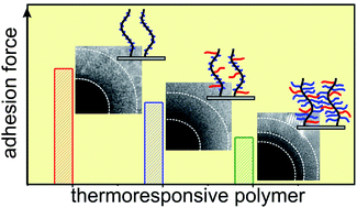Graphical abstract: Biocompatible polymeric materials with switchable adhesion properties