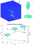 Graphical abstract: A hybrid lattice Boltzmann model for surfactant-covered droplets