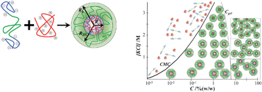 Graphical abstract: Transient network topology of interconnected polyelectrolyte complex micelles