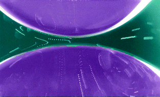 Graphical abstract: Film drainage and coalescence between deformable drops and bubbles