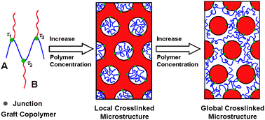 Graphical abstract: Phase behavior of graft copolymers in concentrated solution