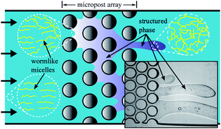Graphical abstract: A stable flow-induced structured phase in wormlike micellar solutions