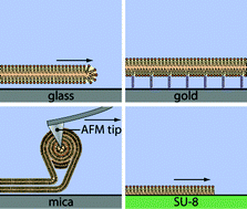 Graphical abstract: Molecular phospholipid films on solid supports