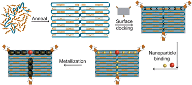 Graphical abstract: Self-assembling DNA templates for programmed artificial biomineralization