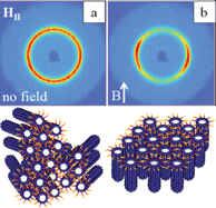 Graphical abstract: Templating effects of lyotropic liquid crystals in the encapsulation of amyloid fibrils and their stimuli-responsive magnetic behavior
