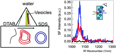 Graphical abstract: Label-free spectroscopic detection of vesicles in water using vibrational sum frequency scattering