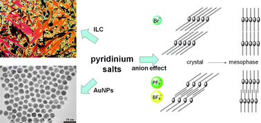 Graphical abstract: Ionic liquid crystals derived from 4-hydroxypyridine
