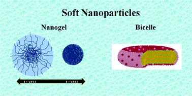 Graphical abstract: Soft nanoparticles (thermo-responsive nanogels and bicelles) with biotechnological applications: from synthesis to simulation through colloidal characterization