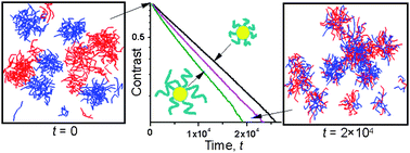 Graphical abstract: Equilibrium chain exchange kinetics in block copolymer micelle solutions by dissipative particle dynamics simulations