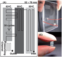 Graphical abstract: Rapid detection for primary screening of influenza A virus: microfluidic RT-PCR chip and electrochemical DNA sensor