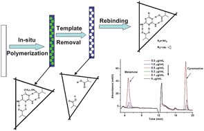 Graphical abstract: Molecularly imprinted monolith coupled on-line with high performance liquid chromatography for simultaneous quantitative determination of cyromazine and melamine
