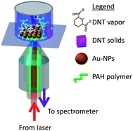 Graphical abstract: Rapid, sensitive DNT vapor detection with UV-assisted photo-chemically synthesized gold nanoparticle SERS substrates
